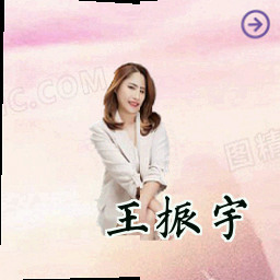 王振宇